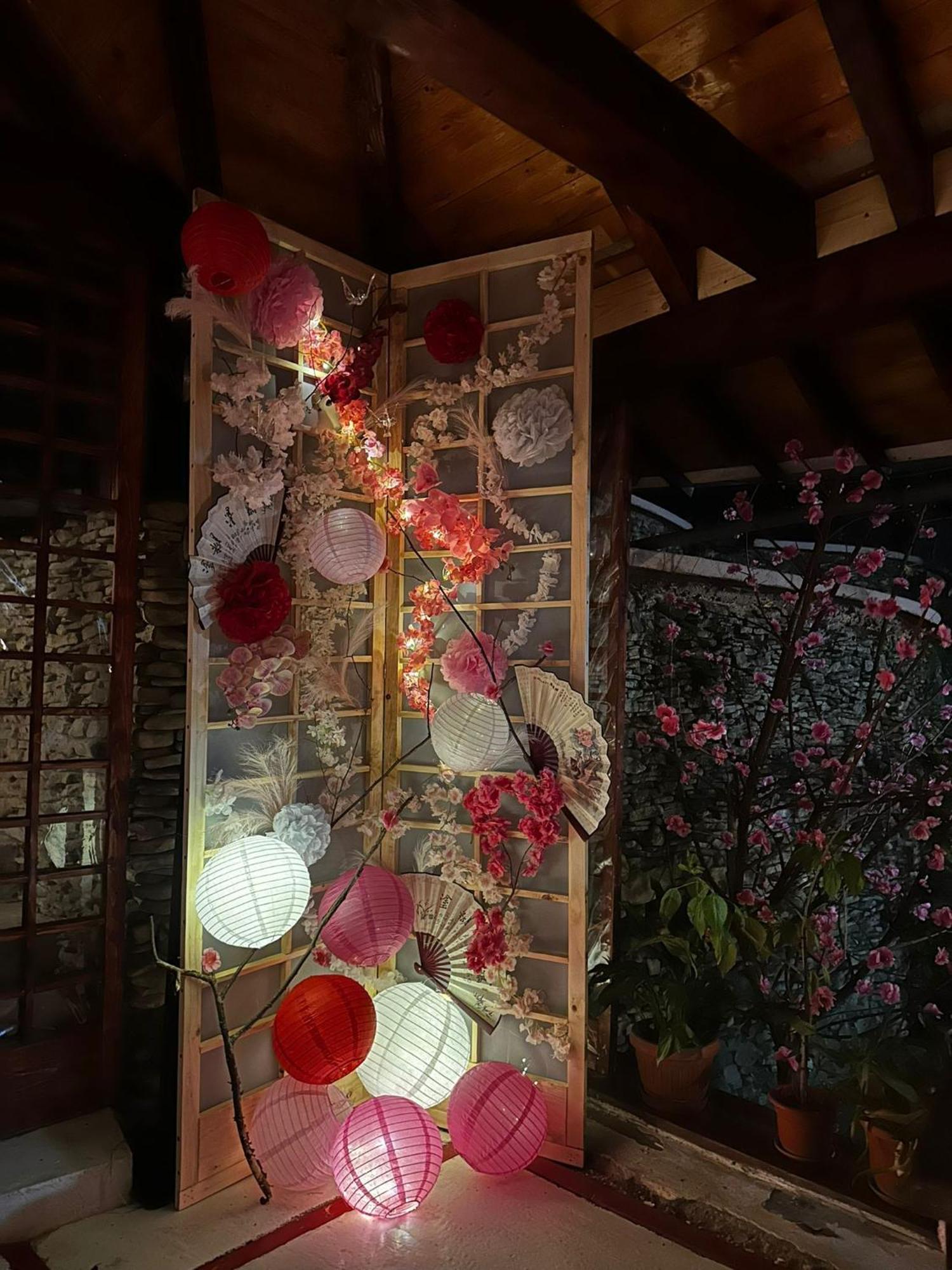 Готель Casa Lily - Japanese Retreat Сігішоара Екстер'єр фото